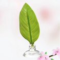 thumbnail image 2 of Fish Tank Accessories Decorations Betta Fish Hammock Aquarium Decoration Botanical Decor Decore, 2 of 2