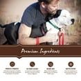 thumbnail image 4 of Holistic Select Natural Dry Dog Food, Chicken Meal & Rice Recipe, 30-Pound Bag, 4 of 8