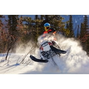 Engine Ice Powersport Coolant+Antifreeze for All Makes, 1.75 Liters