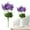 Purple, variant on Artificial Flower Hyacinth, Wheat Ear Flower & Wisteria Flower, Restaurant Partition Flower Arrangement, Wedding Decoration Flower Bouquet