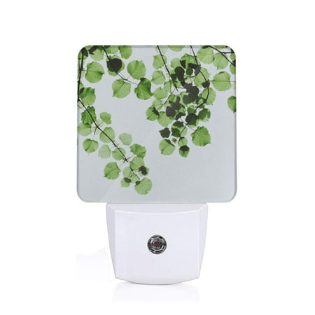 

Uemuo Watercolor Green Leaves Night Light Night Lights Plug into Wall Dusk to Dawn Sensor Warm White Led Night Light 0.5W-UK