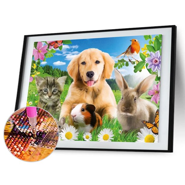 Cuadros Decorativos 5D bricolaje completo taladro diamante pintura animales lindos punto de cruz bordado Kit Sywqhk Nuevos Originales