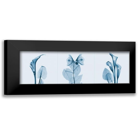 Koetsier, Albert 14x7 Black Modern Framed Museum Art Print Titled - Lilies Triple in Blue