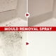 thumbnail image 3 of Limpiador eliminador de moho Spray de moho para limpiador de paredes de baldosas de cerámica (100 ml), 3 of 7
