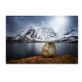 thumbnail image 2 of Trademark Fine Art "Spaceways Theme" Canvas Art by Philippe Sainte-Laudy, 2 of 4