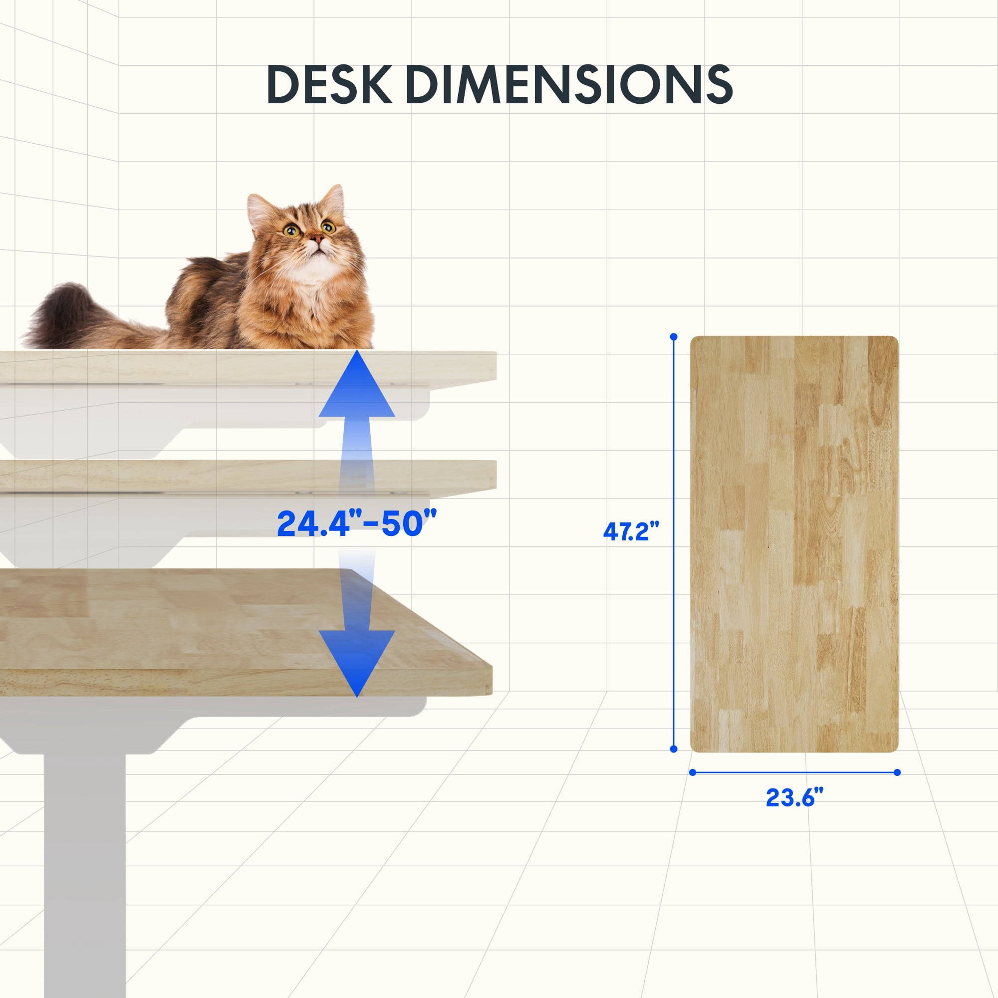 FLEXISPOT E6 48"x24" Dual Motors 3-Stage Standing Desk Solid Wood Home Office Height Adjustable Desk with Wheels, Solid Rubber Wood Desktop and White Frame