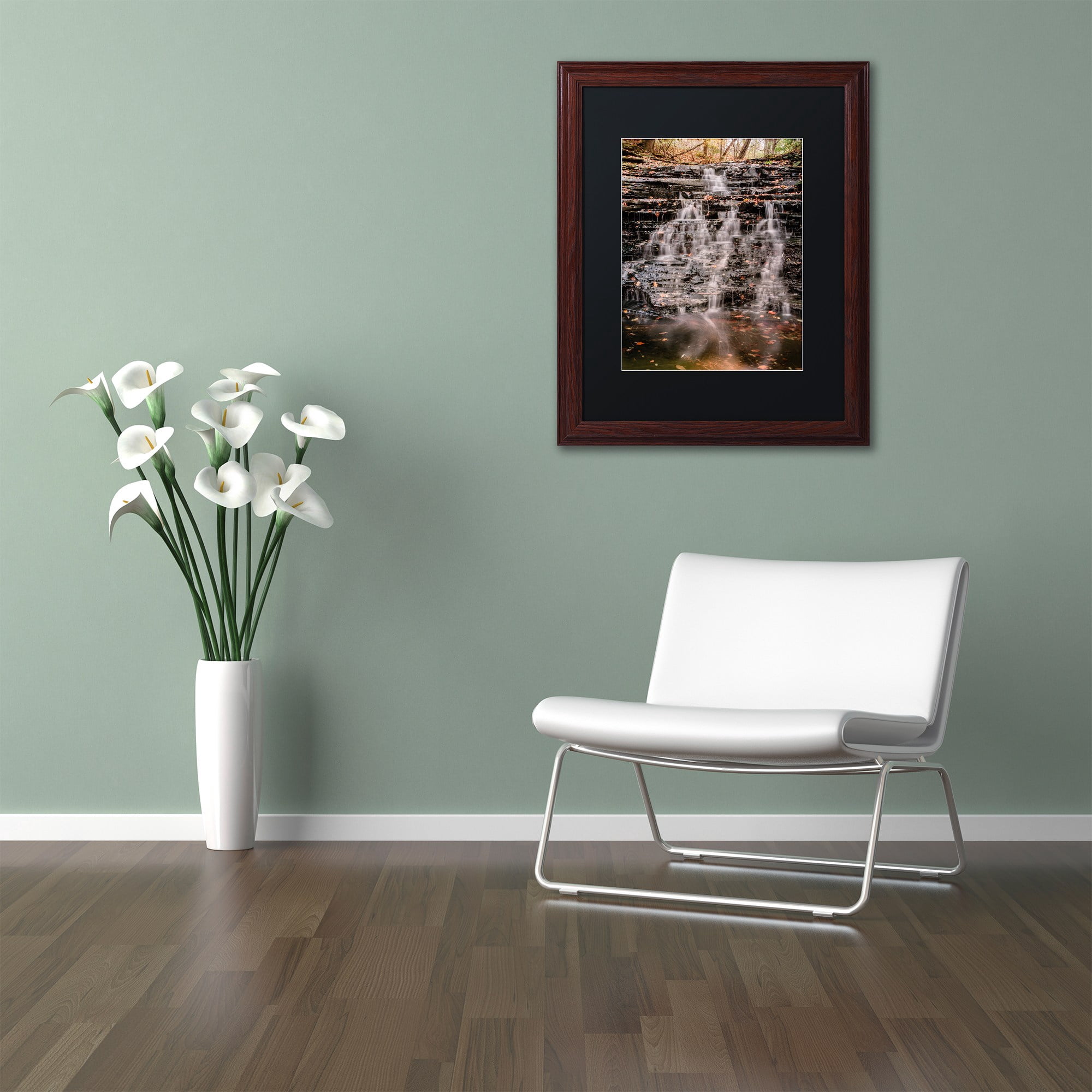 Trademark Fine Art "Hidden Falls" Canvas Art by Jason Shaffer, Black Matte, Wood Frame