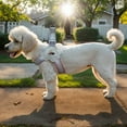 thumbnail image 6 of Pet No Pull Dog Harness with Breathable Mesh Padded, Adjustable Reflective Escape Proof Dog Harness, Quick Fit Dog Vest Harness for Small Medium Large Dogs, 6 of 9