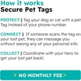 Privacy Pet Tags Smart Tag That Protects Personal info and Pets