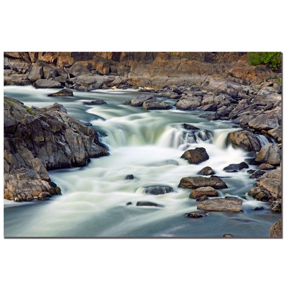 Trademark Art "A Treasure" Canvas Art by CATeyes