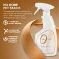 thumbnail image 5 of Zero Odor Pet Odor Eliminator Spray Stain Remover Urine Cleaner Deodorizer 16 oz, 5 of 11