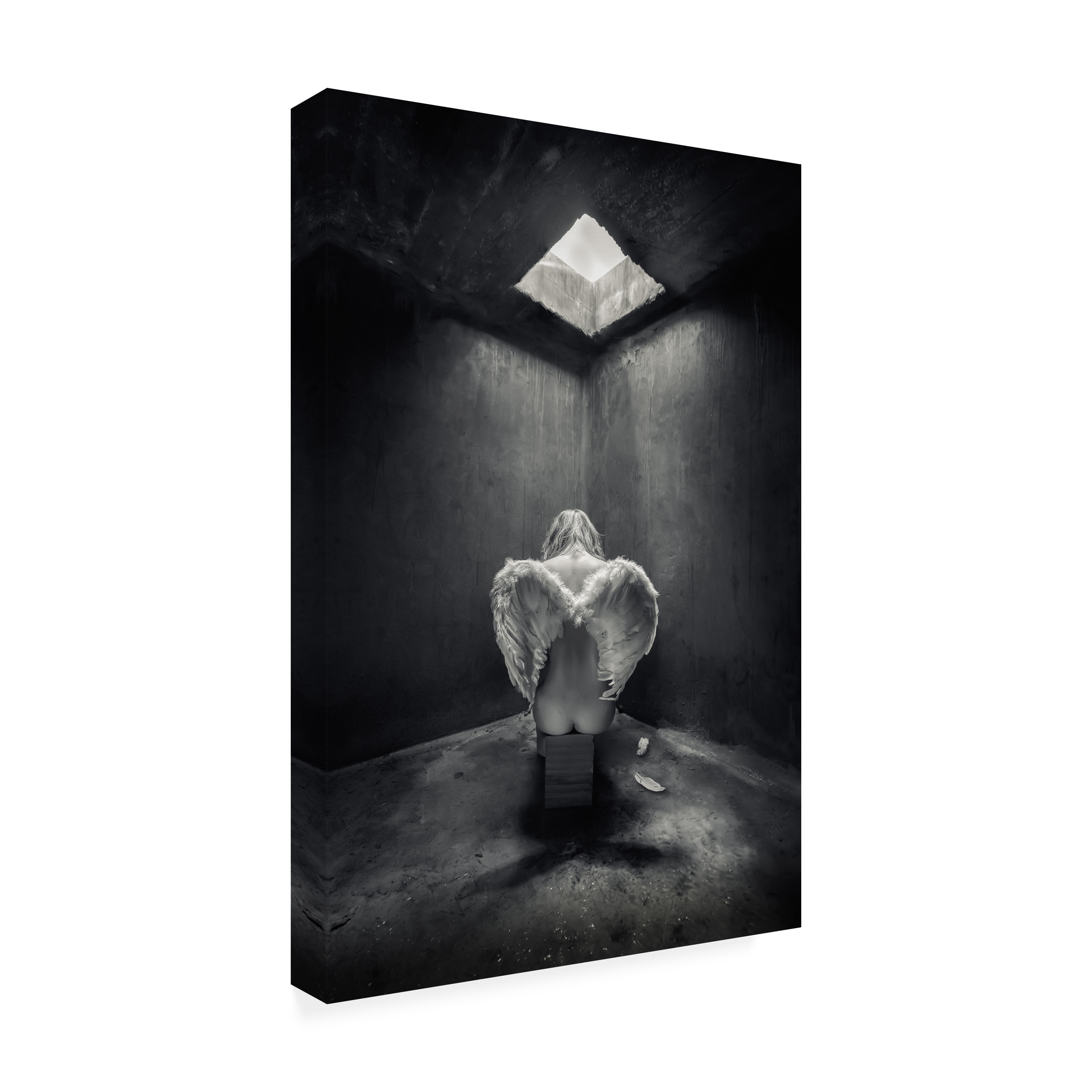 Trademark Fine Art Petar Lupic Busted Canvas Wall Art - 22x32