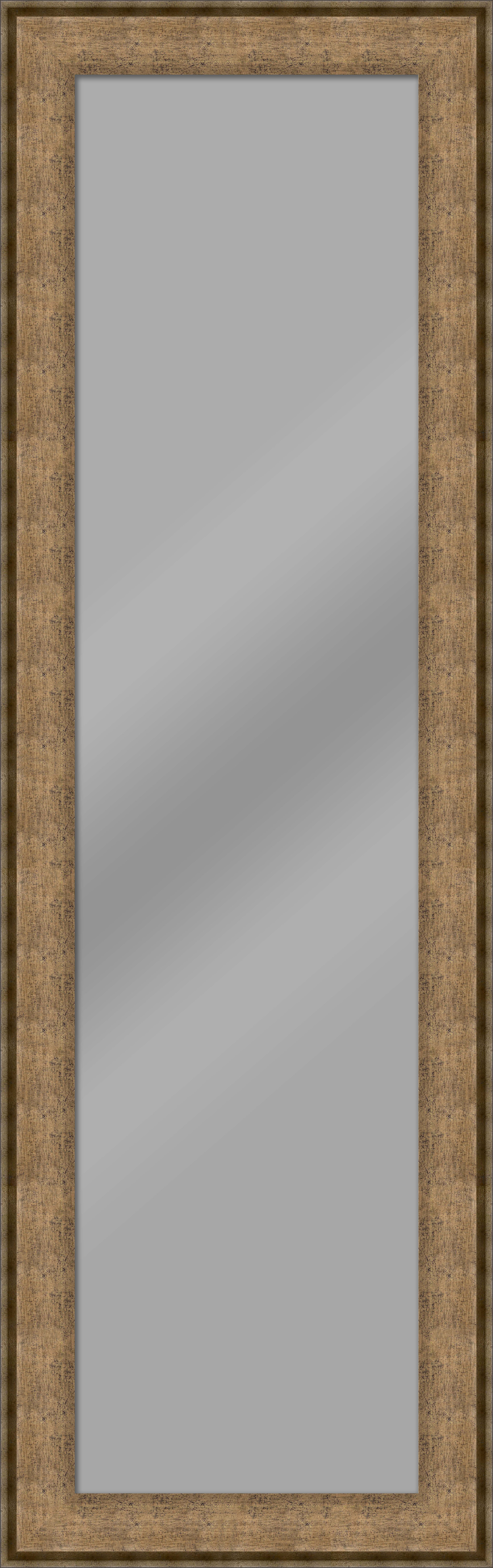 Full Length Antique Gold Wall Mirror by PTM Images