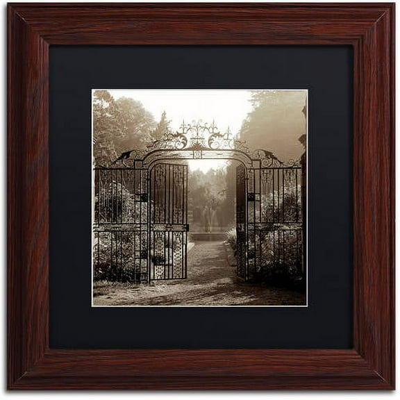 Trademark Fine Art "Hampton Gates III" Canvas Art by Alan Blaustein, Black Matte, Wood Frame