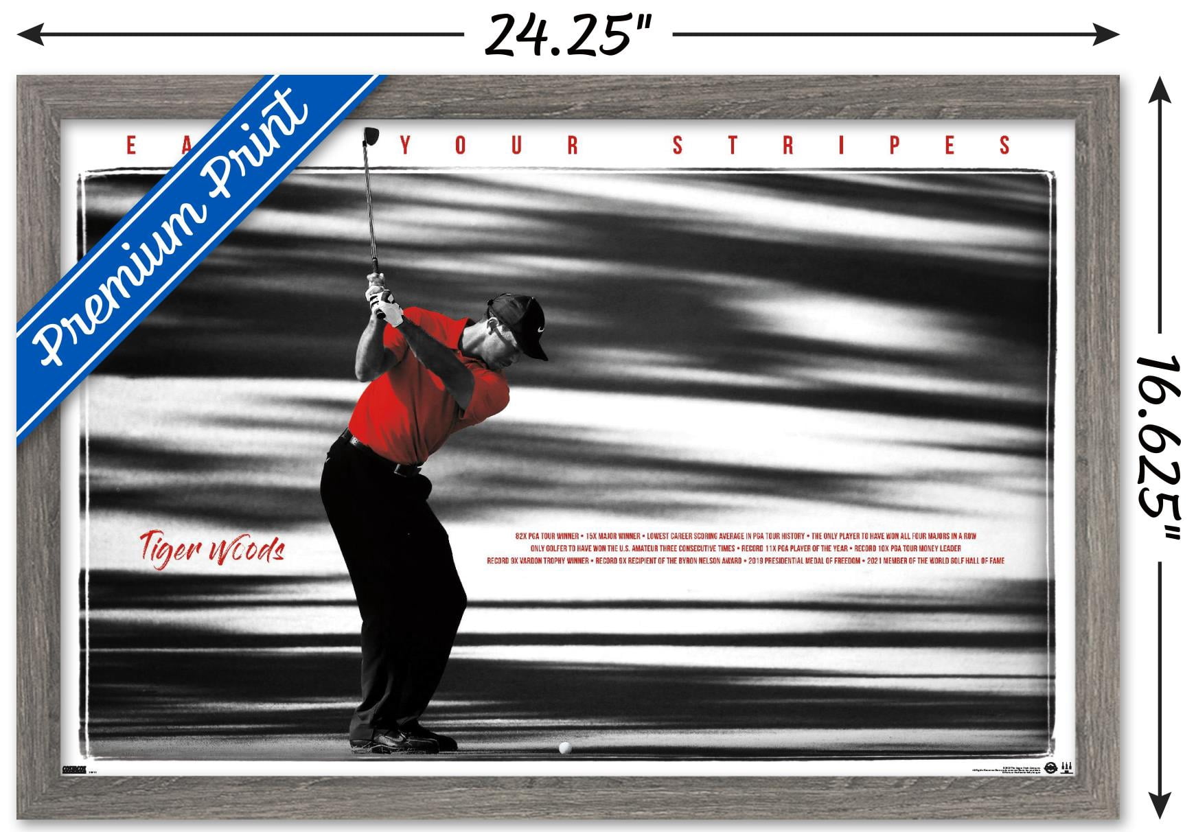 Tiger Woods - Earn Your Stripes Wall Poster, 14.725" x 22.375" Framed