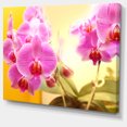 thumbnail image 2 of Fleurs d'Orchidée Violettes en Fleurs - Impression sur Toile Florale, 2 of 3