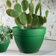 thumbnail image 2 of Jacinto Recycled Plastic Planter by Deroma 10 inch Opening Diameter, Green Color, 2 of 7