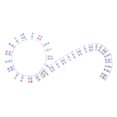 thumbnail image 2 of Hugtrwg Adhesivo para Teclado Piano Sin Pasta para Principiantes (61 Teclas Multicolor), 2 of 9