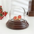 thumbnail image 2 of Plymor 1.875" x 1.875" Mini Glass Display Dome Cloche (Dark Mahogany Veneer Base), 2 of 2