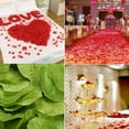thumbnail image 4 of Non-woven fabric Rose Petals Simulated rose petals Wedding Party Flower Decoration - 2200 PCS, 4 of 5