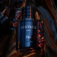 sauvage elixir 100ml