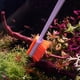 thumbnail image 2 of Aquarium scrubber with long handle for glass aquariums, double bristles, magnetic, brush with long handle, 2 of 5