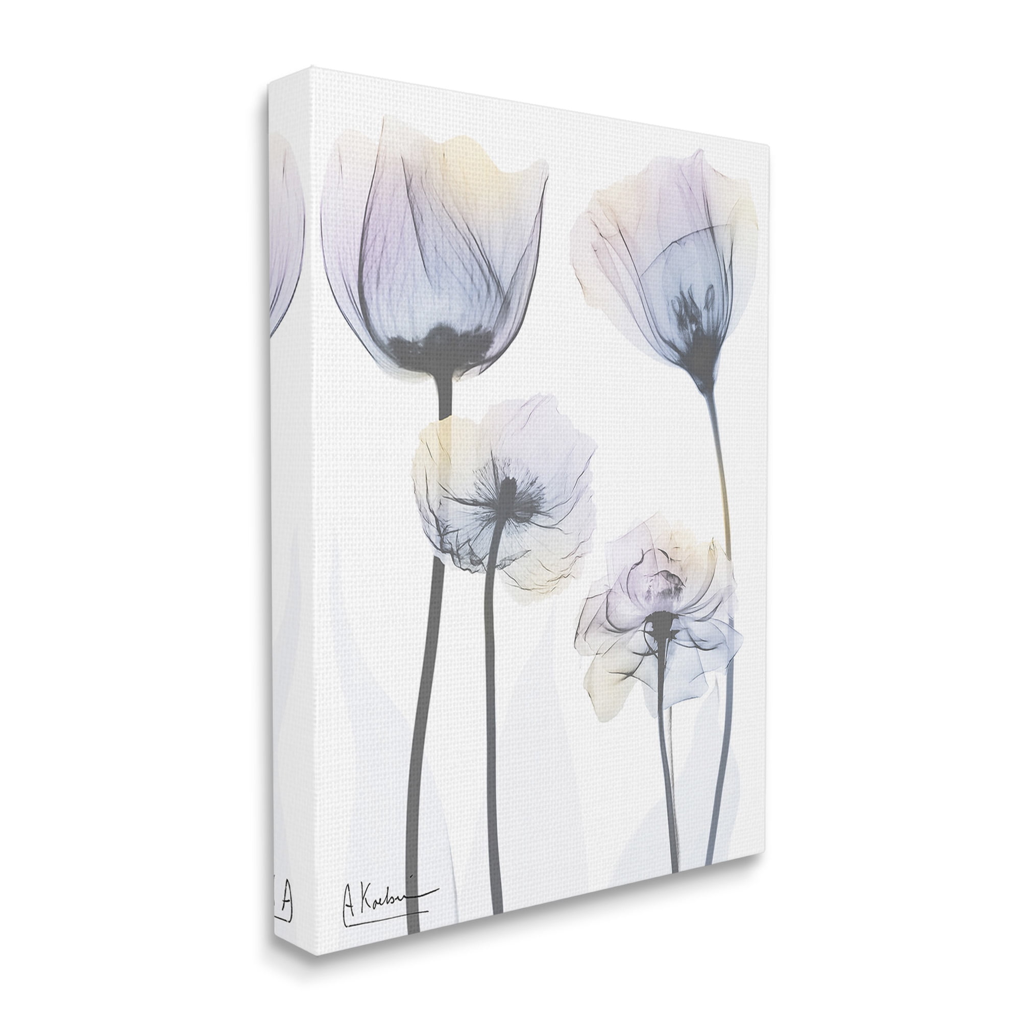 Stupell Industries Subtle Flower Shapes Botanical & Floral Photography Gallery Wrapped Canvas Art Print Wall Art, 30 x 40