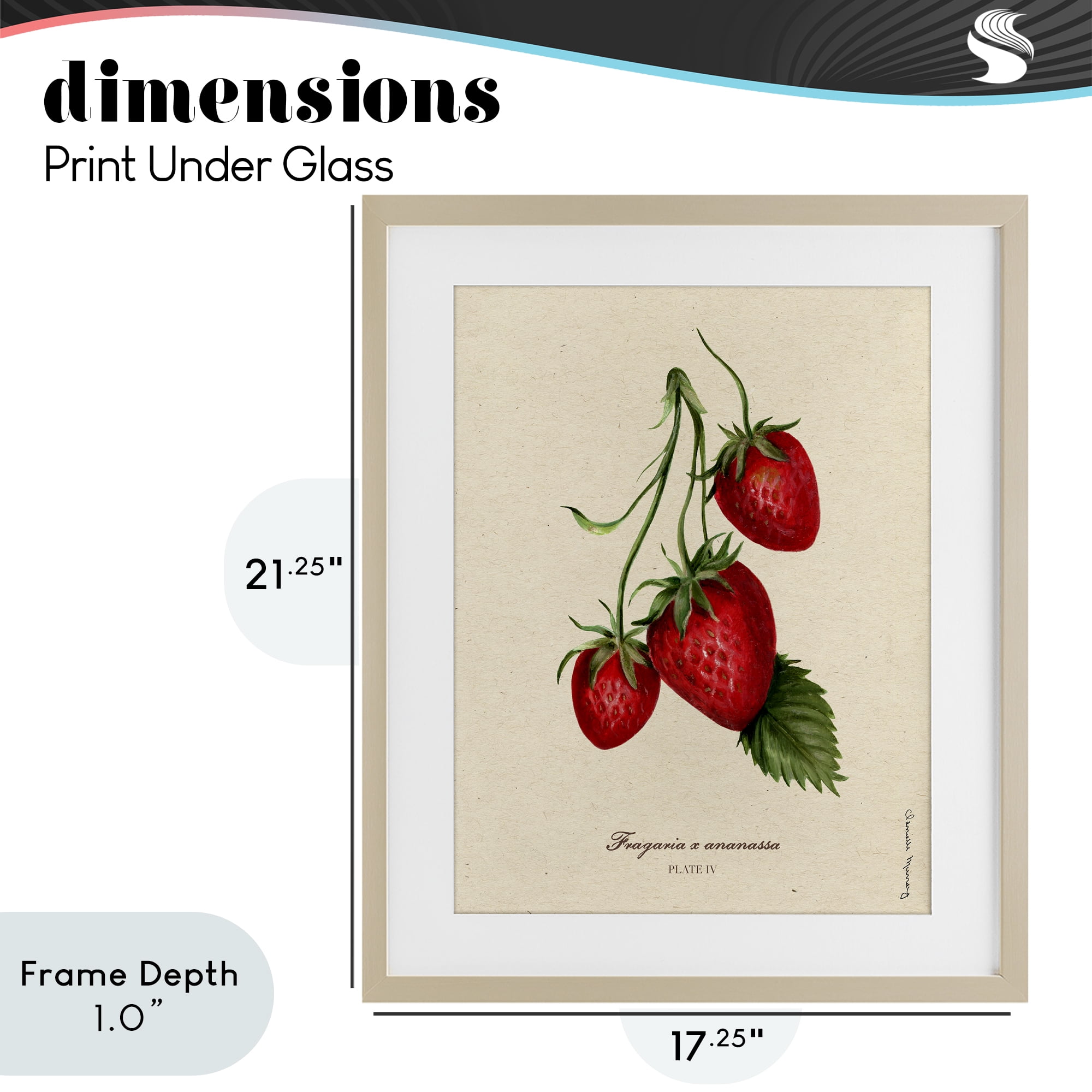 Stupell Industries Strawberry Fruit Portrait Birch Framed Print Under Glass, design by Danielle Murray