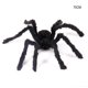 thumbnail image 3 of Moyic Decoración de Halloween Festival Puerta Ventana Chimenea Sofá Accesorios de miedo Hogar Oficina Comedor Bar Hotel Adorno animal artificial Kits de decoración para fiestas 75cm Moyic HA069046-01, 3 of 6
