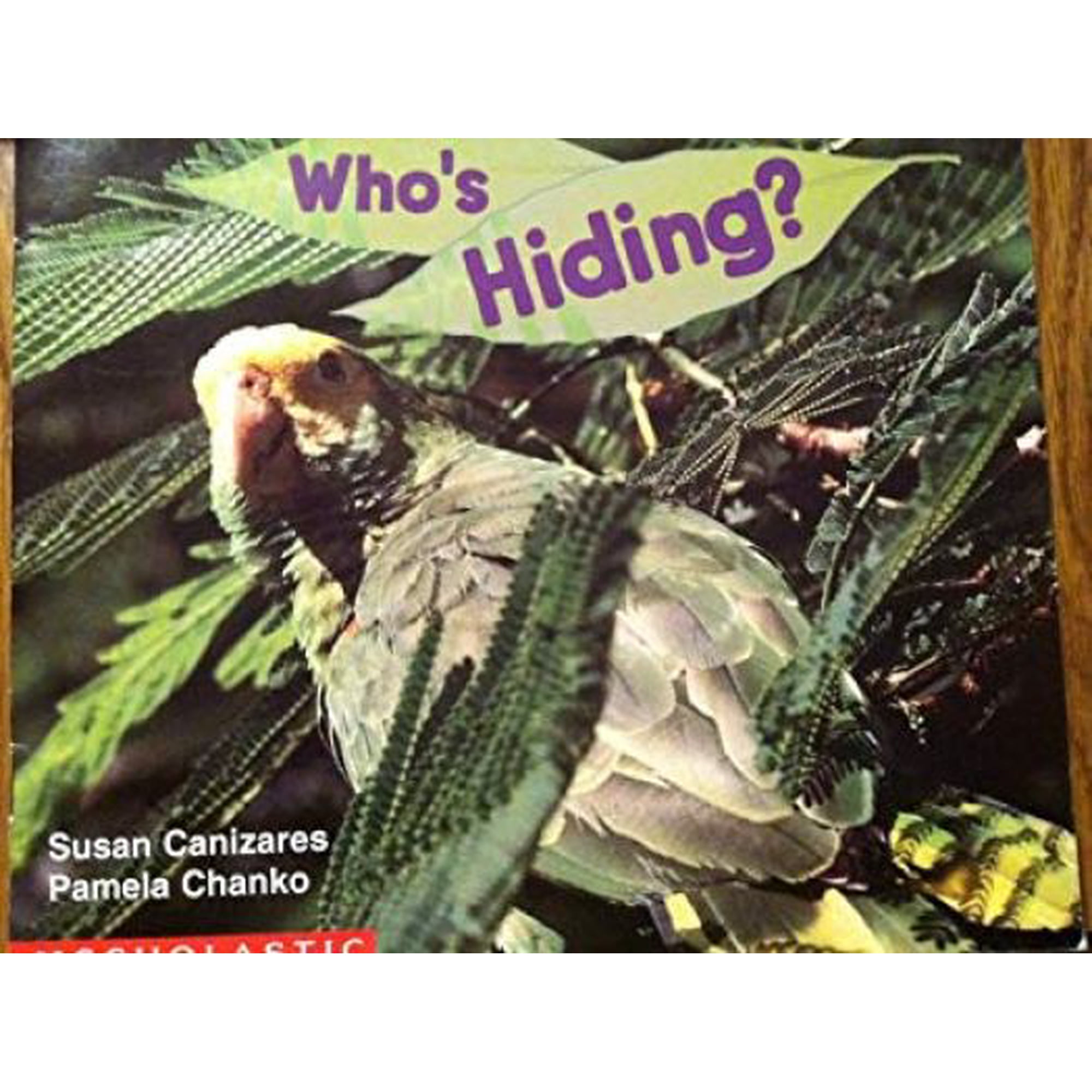 Who s Hiding? (Paperback) by Susan Canizares Pamela Chanko