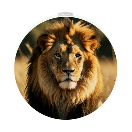 

LED Night Light Lamp with Smart Sensor Dusk to Dawn Sensor 2-Pack for Bedroom Bathroom Hallway White 0.5W Plug-in Lion Pattern Animal Big Cat Brown