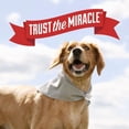 thumbnail image 2 of Limpieza profunda De Manchas y Olores Nature&acute;s Miracle para Alfombras ocasionados por Mascotas, 64 oz Nature's Miracle NA, 2 of 7