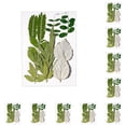 thumbnail image 1 of Inteprter Hoja seca natural DIY Arte hecho a mano Planta en relieve Hojas prensadas Decoración Hogar Decorativo para tarjetas de boda de hoja verde 6 10piezas, 1 of 6