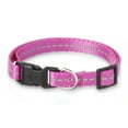 thumbnail image 3 of Vibrant Life Solid Nylon Dog Collar, Purple, Small, 3 of 6