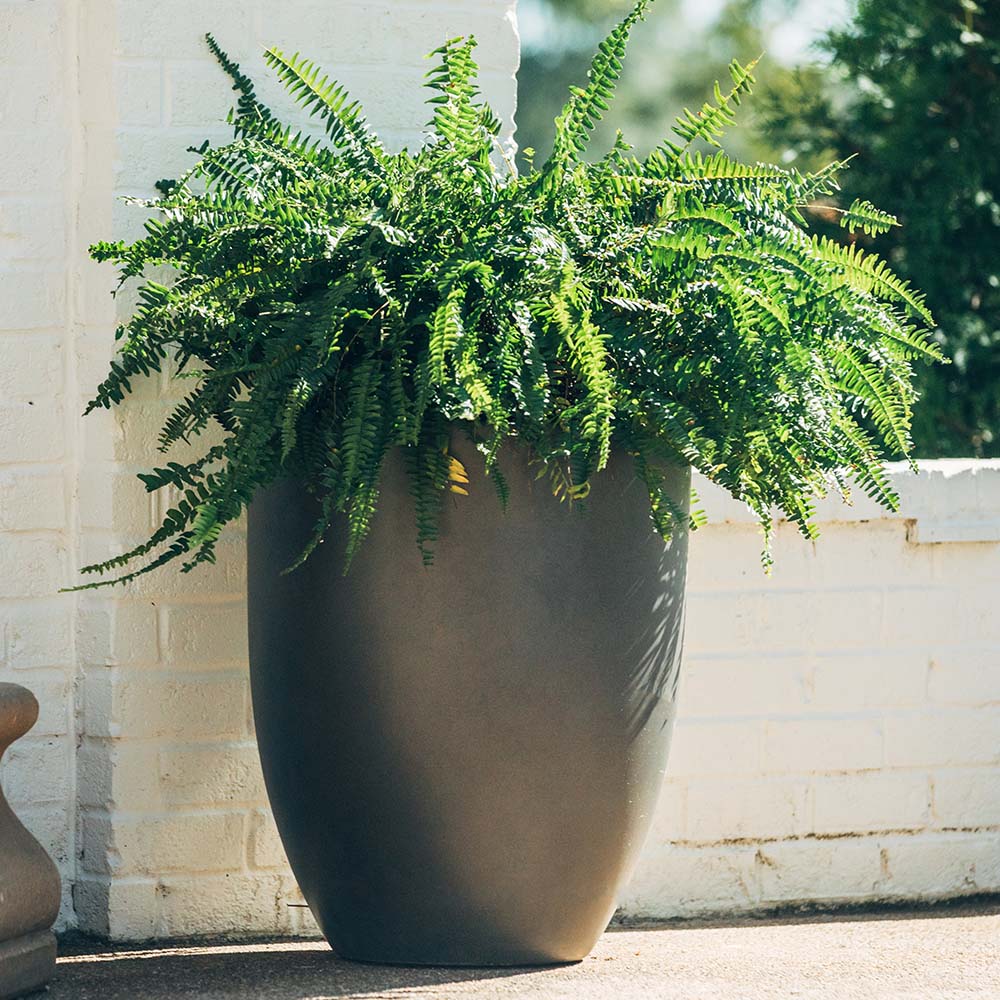 Ash & Ember 22" Laurel Charcoal Planter, Lightweight Fiberstone Composite with Weather-Resistant Finish