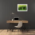 thumbnail image 3 of Shimlock, Jones 14x11 White Modern Wood Framed Museum Art Print Titled - Large sea squirt, Buyat, Sulawesi, Indonesia, 3 of 4