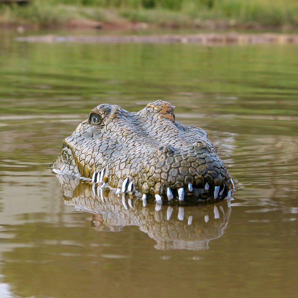 remote control alligator head boat for sale