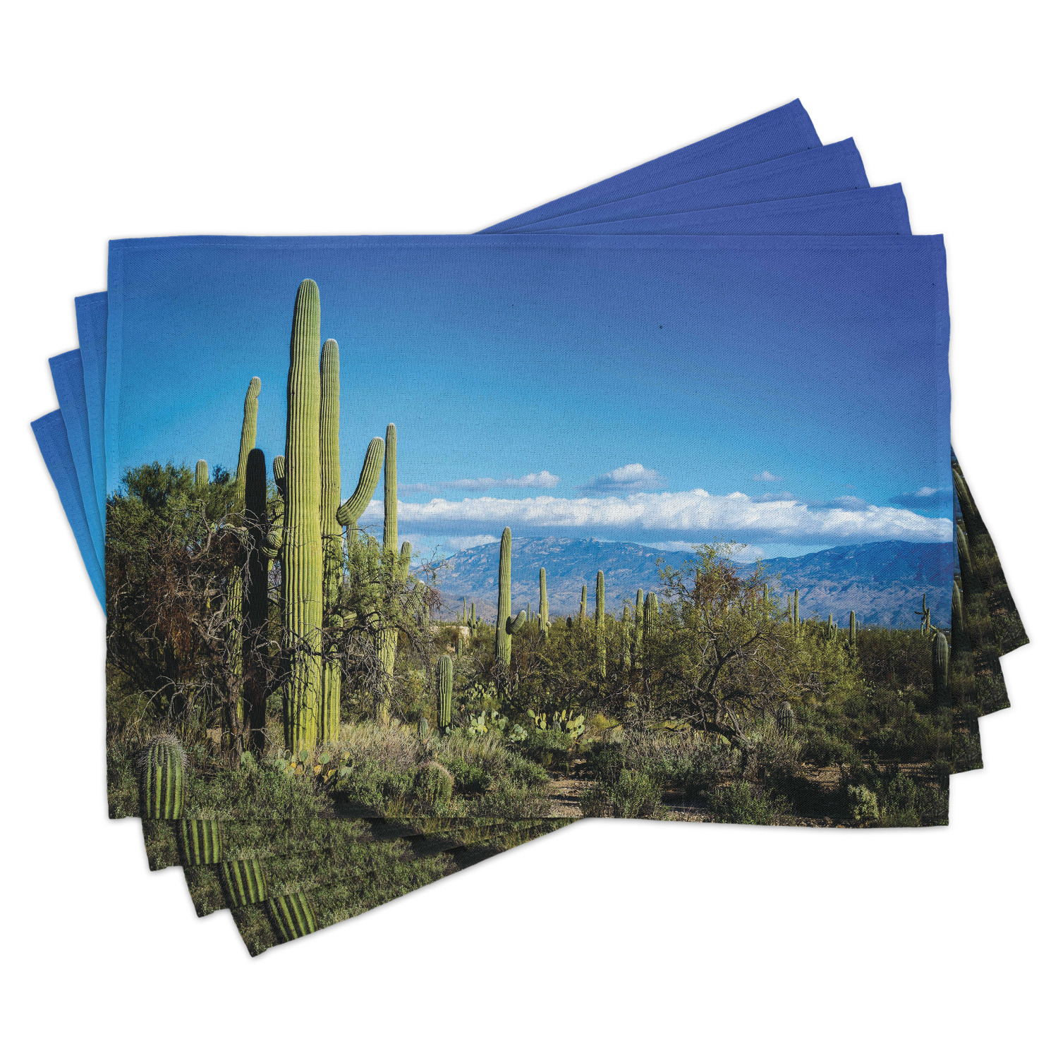 Desert Placemats Set of 4 Wide View of the Tucson Countryside with
