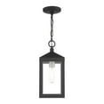 thumbnail image 4 of Livex Lighting - Nyack - 1 Light Outdoor Pendant Lantern in Mid Century Modern, 4 of 12