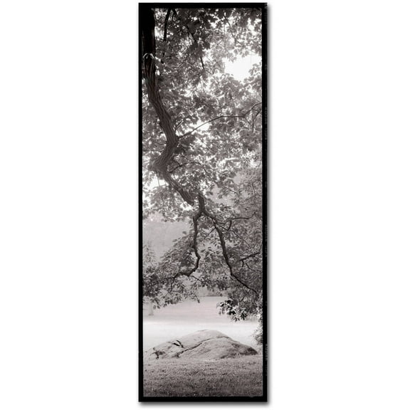 Trademark Fine Art "Hampton Field Tree I" Canvas Art by Alan Blaustein