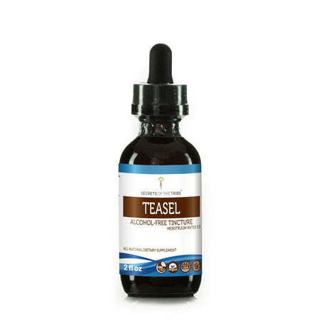 Teasel Tincture Alcohol-FREE Extract, Organic Teasel Dipsacus fullonum, Dipsacus sylvestris Liver and Kidney Health 2 (Best Food For Kidney And Liver)