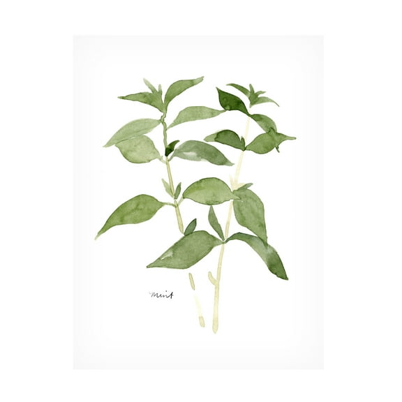 Emma Scarvey 'Herb Garden Sketches I' Canvas Art