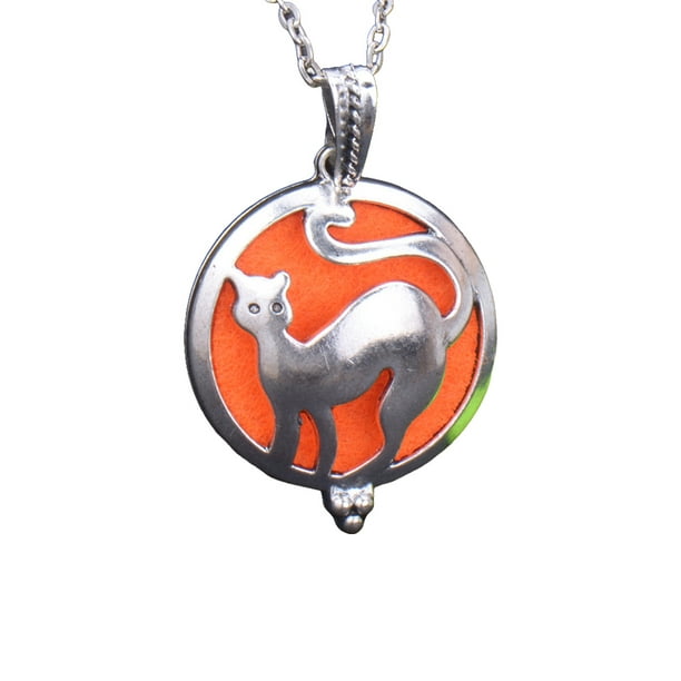 Guardurnaity Collares con difusor de aceite de aleación, colgante para amantes de las flores, joyería para el cuello, medallón hueco de moda, Ropa, zapatos y accesorios Miscelánea Tipo13
