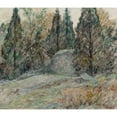 thumbnail image 3 of Robert Reid 17x15 Black Modern Framed Museum Art Print Titled - Red Cedars and Rocks, 3 of 5