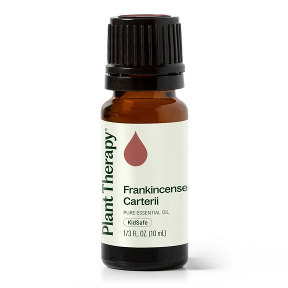 Plant Therapy Frankincense Carterii Essential Oil 10 mL (1/3 oz) 100% Pure, Undiluted