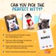 thumbnail image 3 of Name That Kitty: ¡el juego de cartas de gatos para niños de 8 a 12 años es ideal para manualidades con gatos, juegos de gatos y fanáticos de la memoria de gatos! Diversión para familias Regalos para n, 3 of 5