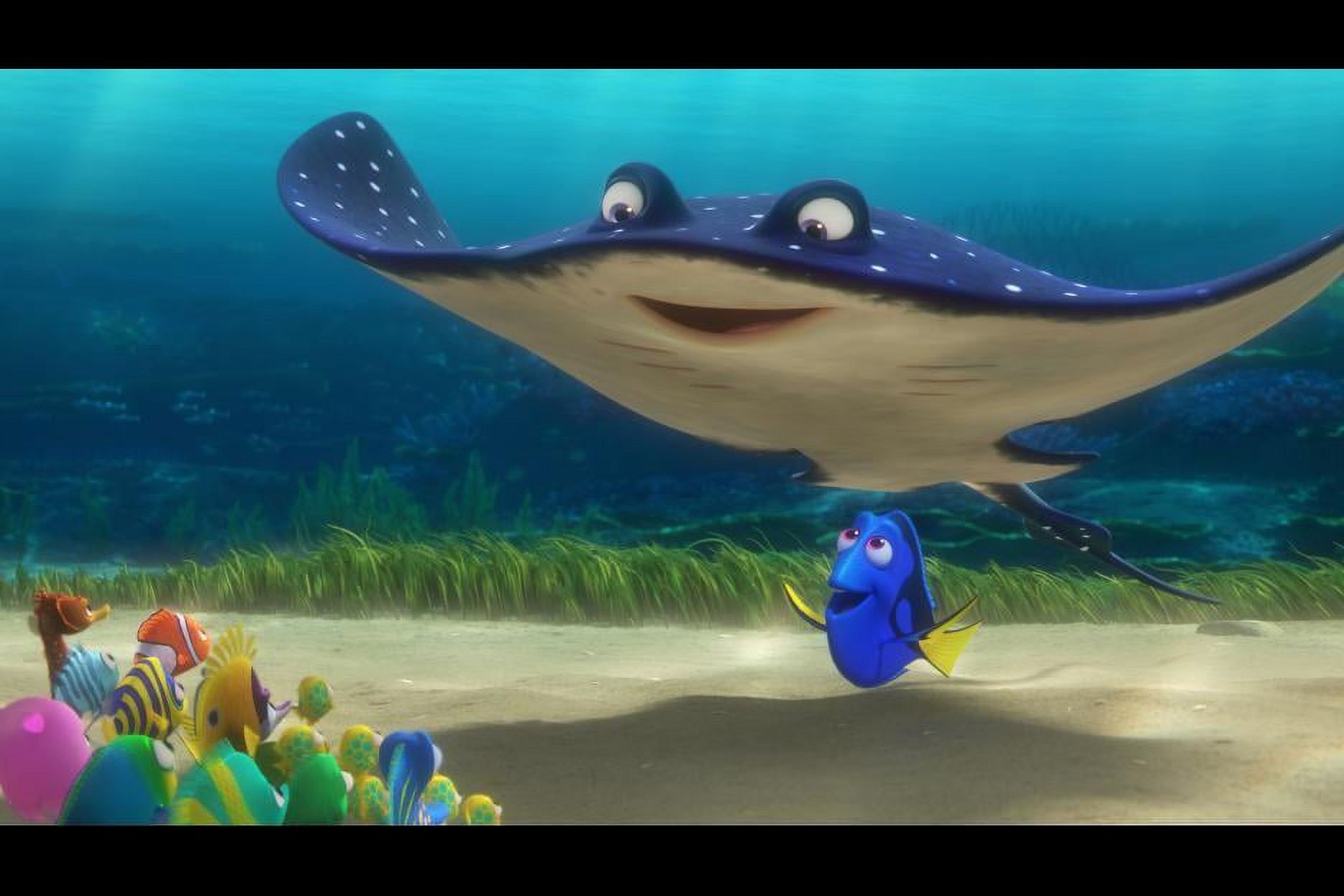 Finding Dory (Other) - image 3 of 7