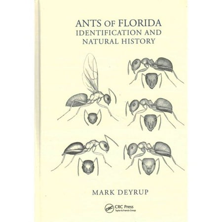 Ants Of Florida Identification And Natural History Ants Of Florida Identification And Natural History