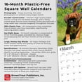 thumbnail image 6 of Boxer Puppies | 2026 12x24" (Hanging) Wall Calendar | Plastic-Free | BrownTrout, 6 of 9