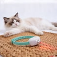 thumbnail image 6 of Automatic Cat Toys Laser Collar with Red Light,wearable Collar for Kitten Interactive Cat Toys for Bored Indoor Cats, Rechargeable Electric Laser Pointer Cat Toy, 6 of 8